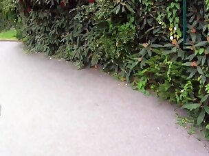 Best Outdoor Porn Videos