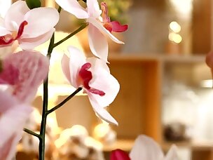 Best Standing Porn Videos